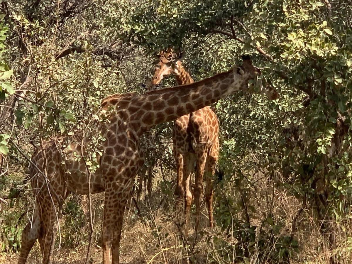 Pombo Kunda Villa Sanyang Buitenkant foto