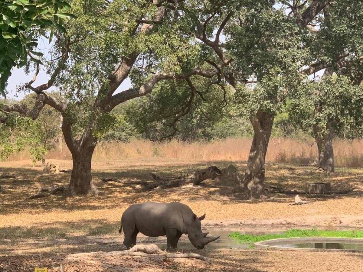 Pombo Kunda Villa Sanyang Buitenkant foto