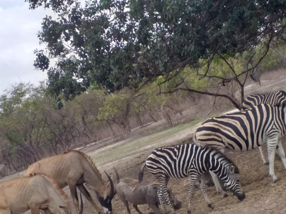 Pombo Kunda Villa Sanyang Buitenkant foto