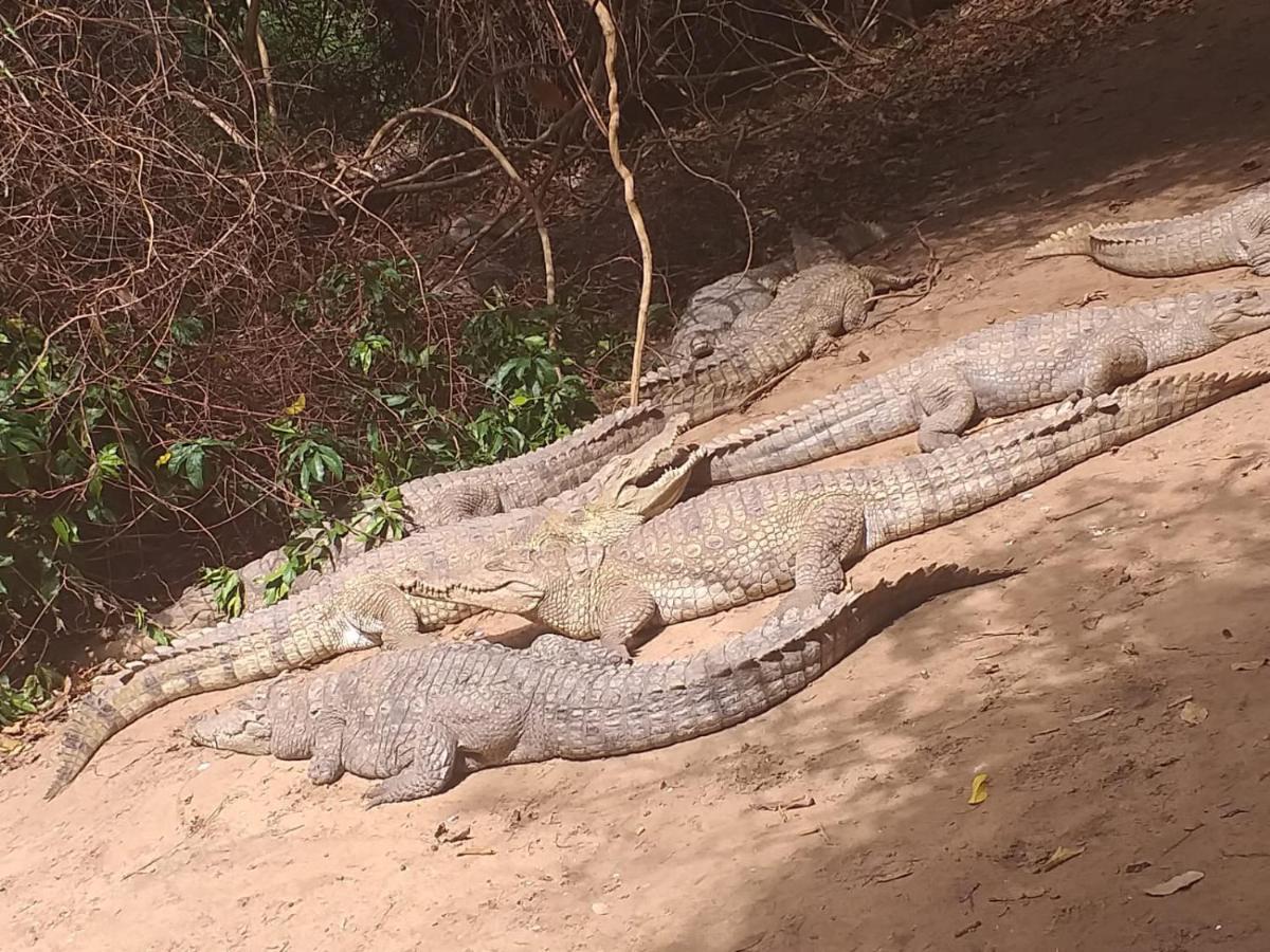 Pombo Kunda Villa Sanyang Buitenkant foto