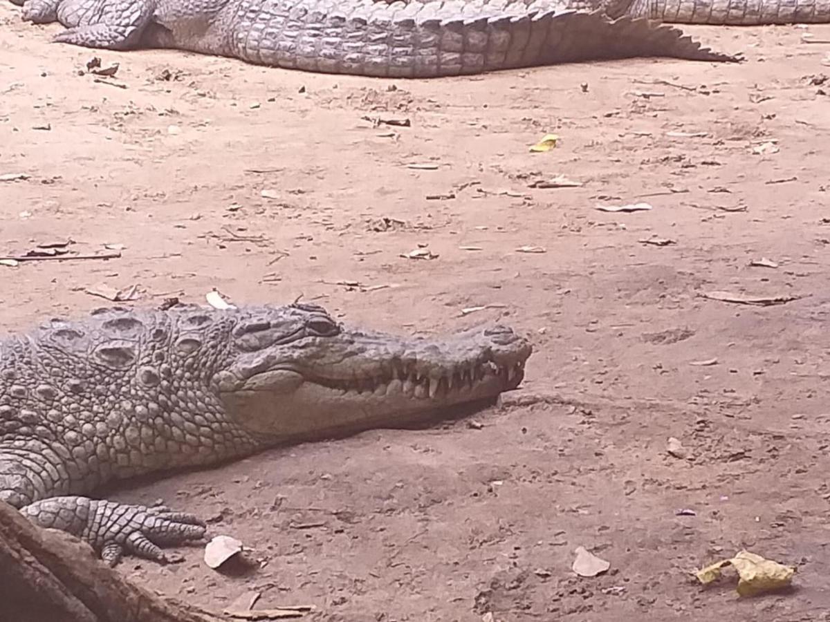 Pombo Kunda Villa Sanyang Buitenkant foto