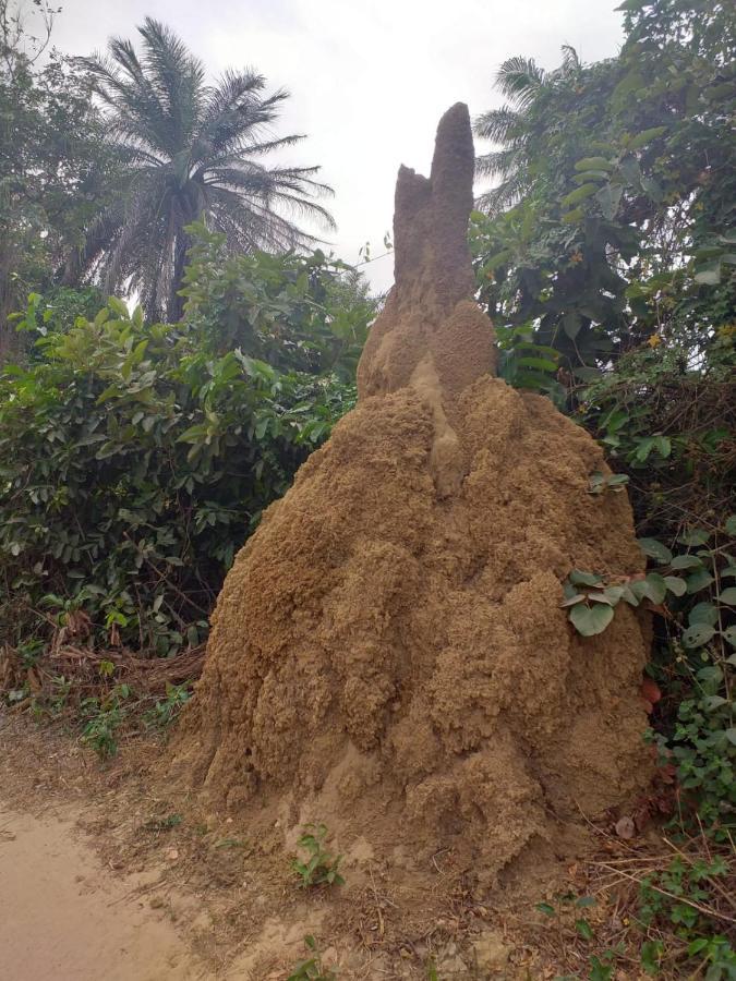 Pombo Kunda Villa Sanyang Buitenkant foto