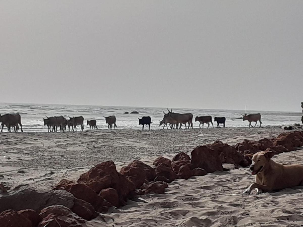 Pombo Kunda Villa Sanyang Buitenkant foto