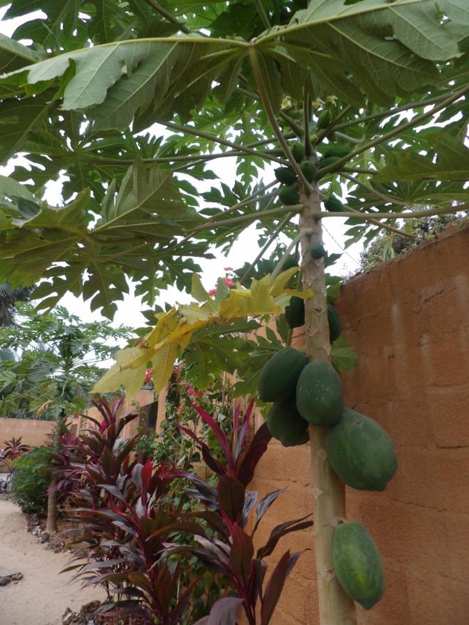 Pombo Kunda Villa Sanyang Buitenkant foto