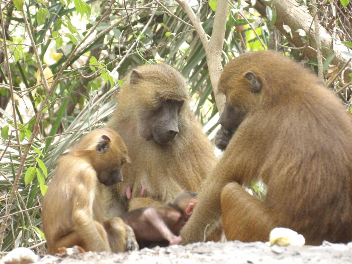 Pombo Kunda Villa Sanyang Buitenkant foto